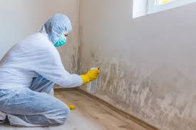 Best Asbestos and Lead Testing During Mold Inspection  in Rockwall, TX