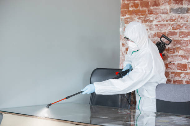 Best Mold Damage Restoration  in Rockwall, TX