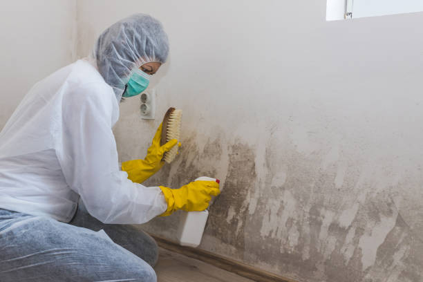 Best Air Quality Testing for Mold Spores  in Rockwall, TX